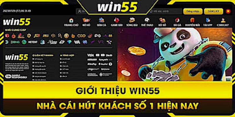 Giới thiệu Win55 - nhà cái hút khách số 1 hiện nay